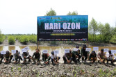 Hari OZON Lestarikan Mangrove, PNM, BDPN dan Unisi Tanam 4.000 Pohon