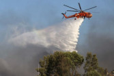 BPBD Riau Kerahkan 2 Helikopter Water Bombing Atasi Karhutla di Rohil