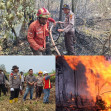 Areal Konservasi PT ARARA ABADI Terbakar, Kapolres Pelalawan AKBP Suwinto SH SIK Ikut Padamkan
