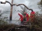 BPBD Sebut 4 Daerah Di Riau Ini Tetapkan Setatus Siaga Karhutla