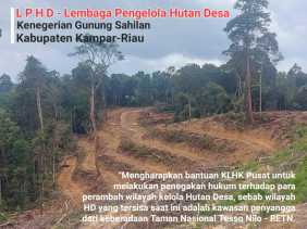 Gakkum LHK Pusat Diminta Turun ke Gunung Sahilan Kampar, KNPI Riau: Kondisi Hutan Desa Sangat Memprihatinkan!