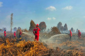 Terjadi lagi! Kebakaran Hutan dan Lahan di Desa Karya Indah Kampar