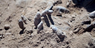 Kuburan massal 1.700 calon tentara muda Irak ditemukan