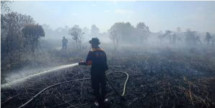 Selama 3 Bulan di 2023, 131 Hektare Lahan Terbakar di Riau, Karhutla Terluas Ditemukan di Bengkalis
