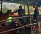 Babinsa Koramil 04/Perawang Beserta Dokter Hewan Lakukan Surveilence PMK di Kampung Sengkemang