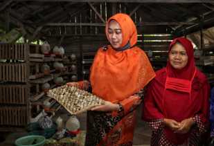 Tingkatkan Ekonomi Keluarga, Rasidah Alfedri Tinjau Peternakan Burung Puyuh di Bungaraya