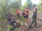 Bersama Tim Serta Warga Binaan, Babinsa Serka Risman Girsang Patroli Kebakaran Hutan Dan Lahan Di Wilayah Sungai Selodang