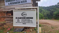 Izin Belum Lengkap, ESDM Riau Minta CV ABA di Inhu Hentikan Aktifitas Tambang Yang Masih Ilegal