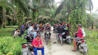 Ratusan Anggota KP2-SL Desa Kota Garo Tuntut Bagikan Lahan dan Pola KKPA Diganti Menjadi Plasma kepada PT. Sekarbumi Alamlestar