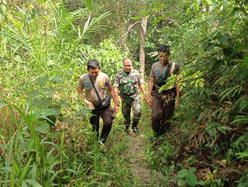 Dengan Tim Gabungan Serta Warga Binaan, Pelda Syafri Ajak Patroli Di Kuala Gasib Guna Antisipasi Karlahut