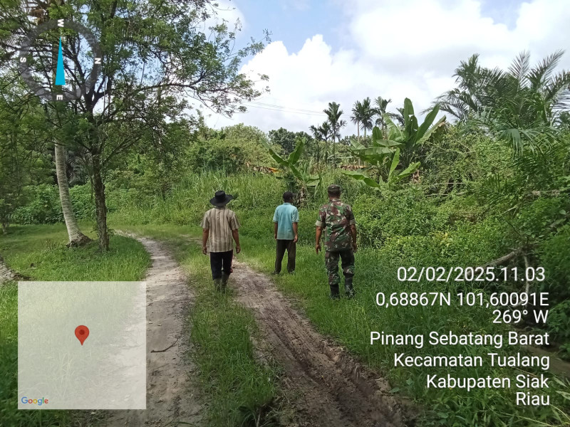 Babinsa Koramil 04/Perawang Gencar Patroli Cegah Karhutla di Wilayah Kampung Pinang Sebatang Barat