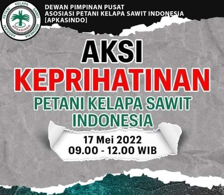 Aksi Keprihatinan Petani Kelapa Sawit Indonesia APKASINDO : Kami Harus Ke Jakarta Bertemu Presiden