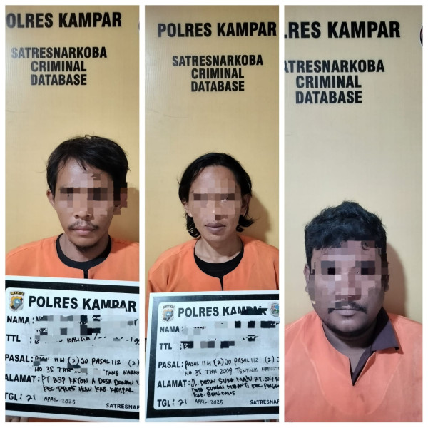 Satresnarkoba Polres Kampar Berhasil Bongkar Peredaran Sabu, 68,59 Gram Sabu Disita! Satresnarkoba Polres Kampar Berhasil Bongkar Peredaran Sabu, 68,59 Gram Sabu Disita!