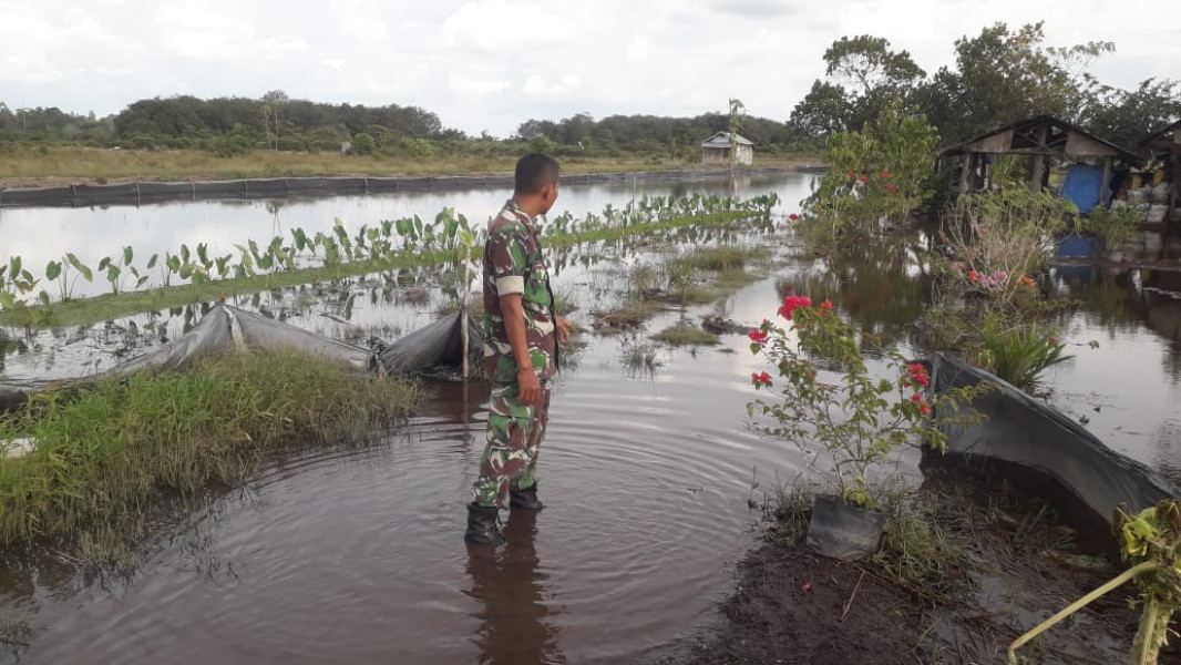 Babinsa Koramil 03/Minas Lakukan Pengecekan & Monitoring Wilayah Yang Terkena Banjir di Kampung Lubuk Jering