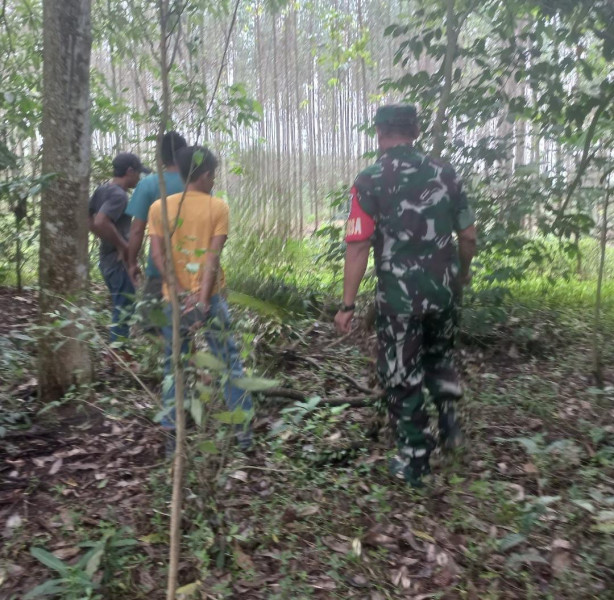 Bersama Warga Binaan Sertu Sarju Patroli Gabungan Antisipasi Karhutla Secara Rutin di Wilayah Kampung Pinang Sebatang Barat