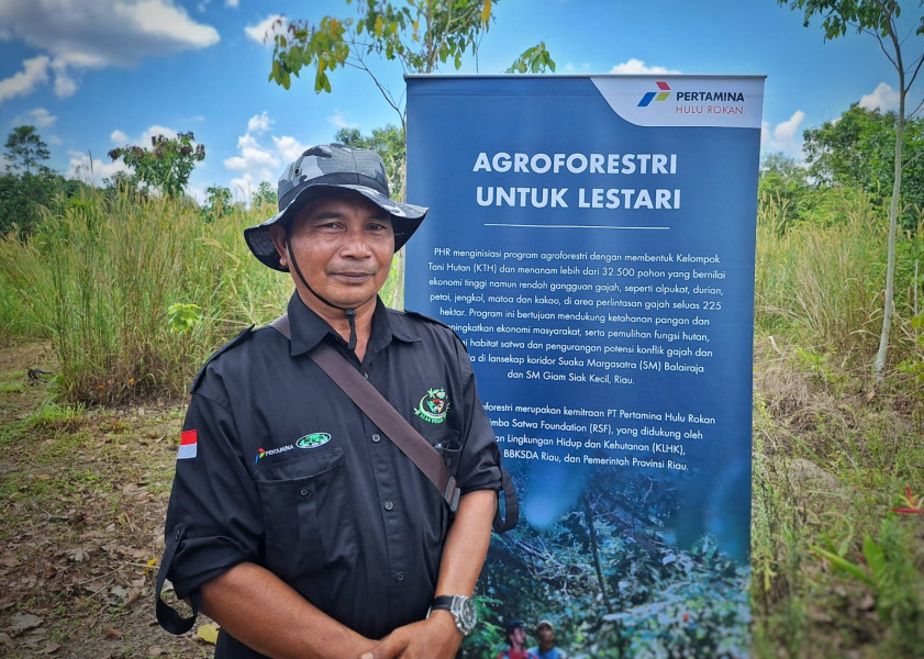Gajah dan Petani Kini Hidup Rukun, Agroforestri Ciptakan Harmonisasi