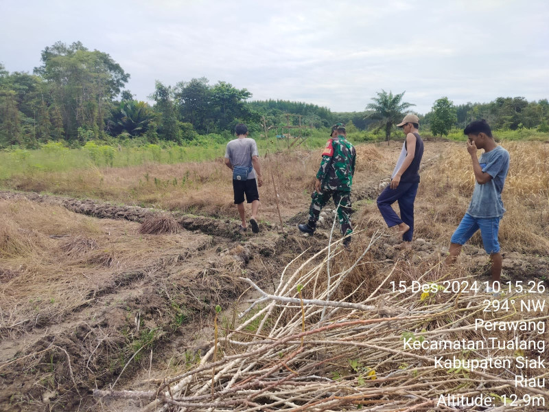 Babinsa Koramil 04/Perawang Patroli Pencegahan Karhutla di Kelurahan Perawang, Situasi Terpantau Aman