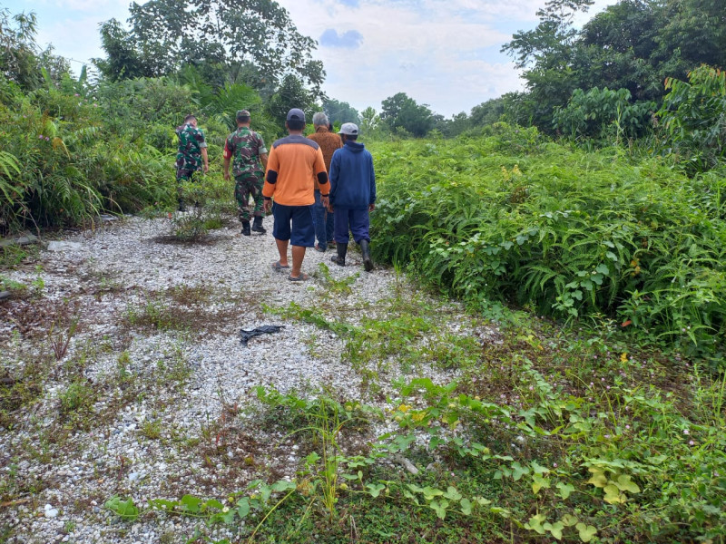 Babinsa 04/Perawang Terus Lakukan Patroli Pencegahan Karhutla, Situasi Aman