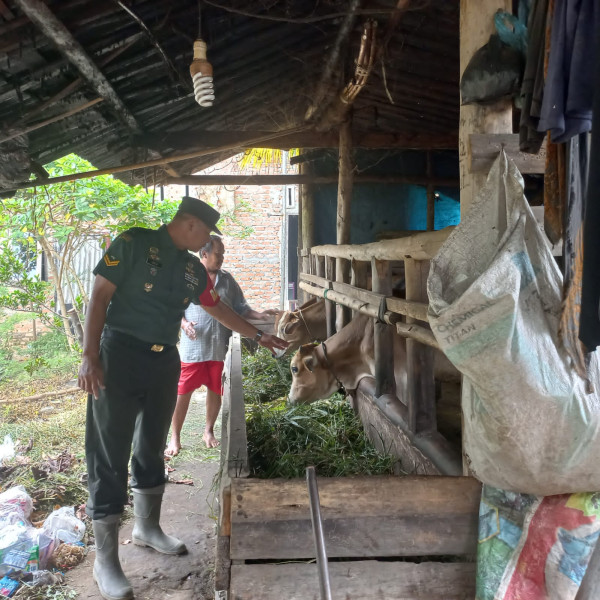 Sertu Sarju Bersama Tim URC Giat Surveilence di Kampung Tualang Antisipasi PMK