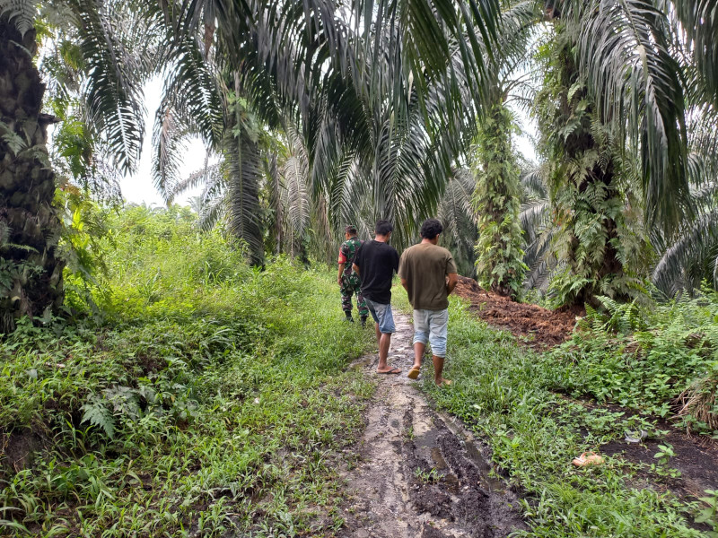 Serka Afrisal Patroli Pencegahan Karhutla, Situasi Aman di Kampung Maredan