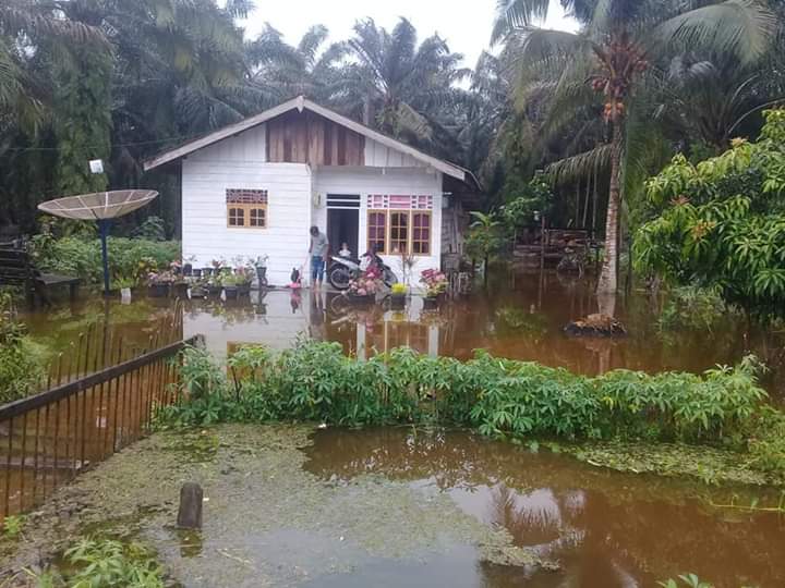 Akibat Curah Hujan Yang Tinggi, Ratusan Rumah Di Kandis Terendam Banjir