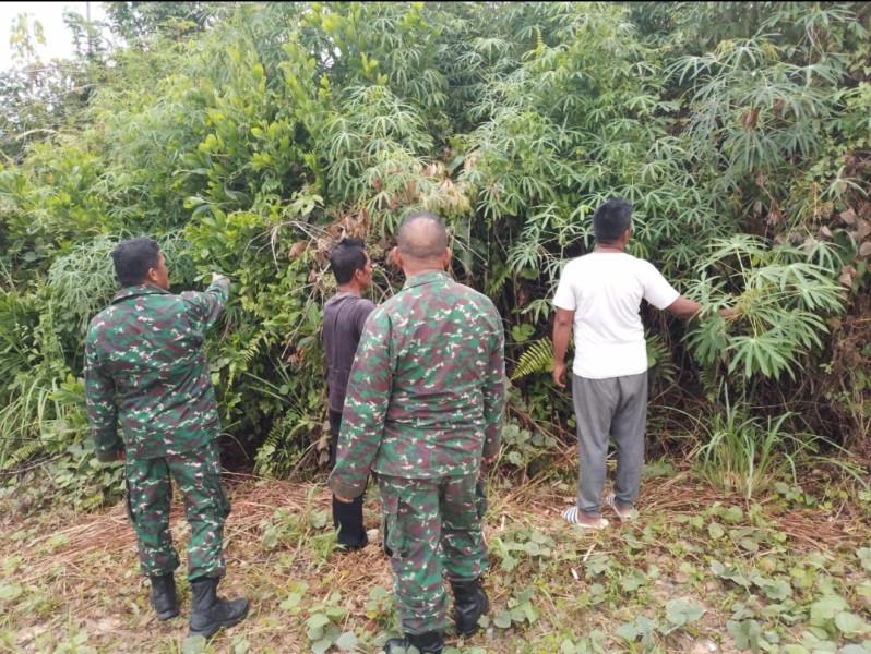 Bersama Masyarakat di Kampung Minas Timur, Serka R Girsang  Rutin Lakukan Patroli Karhutla Serta Peninjauan Kanal