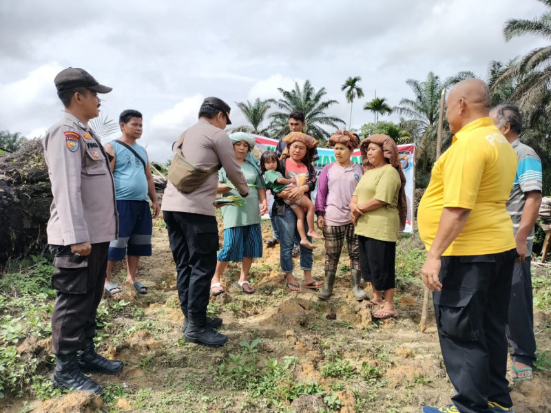 Kapolsek Minas Pimpin Penanaman Jagung Program Ketahanan Pangan di Lahan Sawit Masyarakat