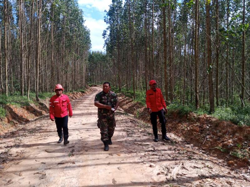 Babinsa Kampung Muara Bungkal Serka D Sihombing Dengan Tim Rutin Patroli Karlahut Bersama Warga Binaannya