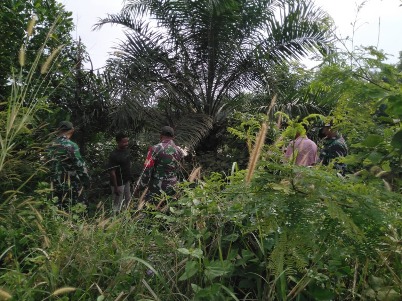 Giat Penanggulangan Karhutla Serka Risman Girsang Lakukan Patroli di Kampung Sungai Selodang 