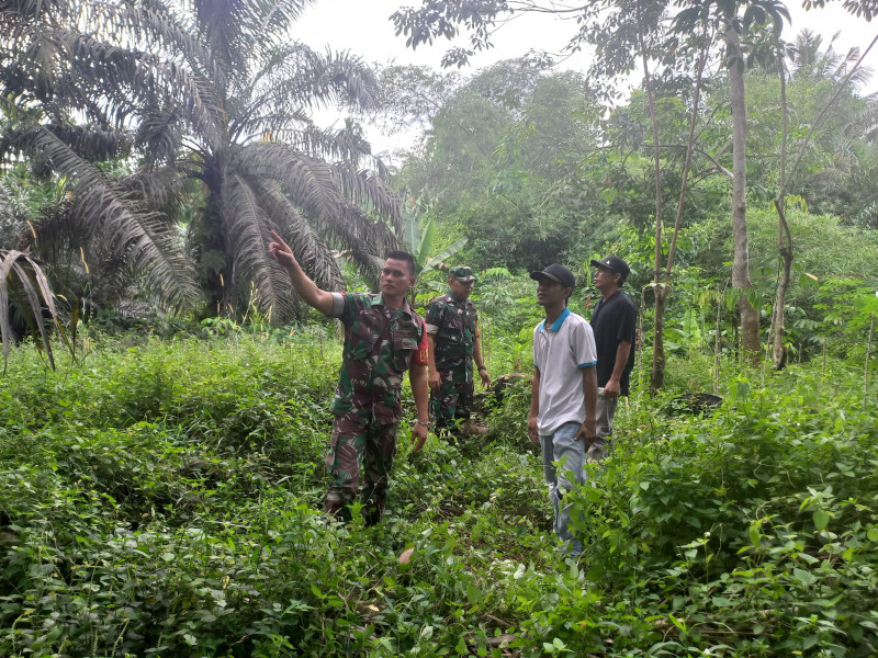 Babinsa Koramil Perawang Serka Afrisal dan Koptu Togi Sitourus, Selalu Ajak Warga Binaannya Di Maredan, Patroli Gabungan Antisipasi Karhutla 