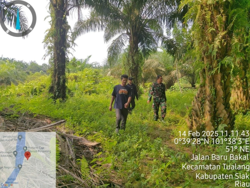 Babinsa Koramil 04/Perawang Patroli Karhutla, Masyarakat Kp Tualang Diimbau Waspada