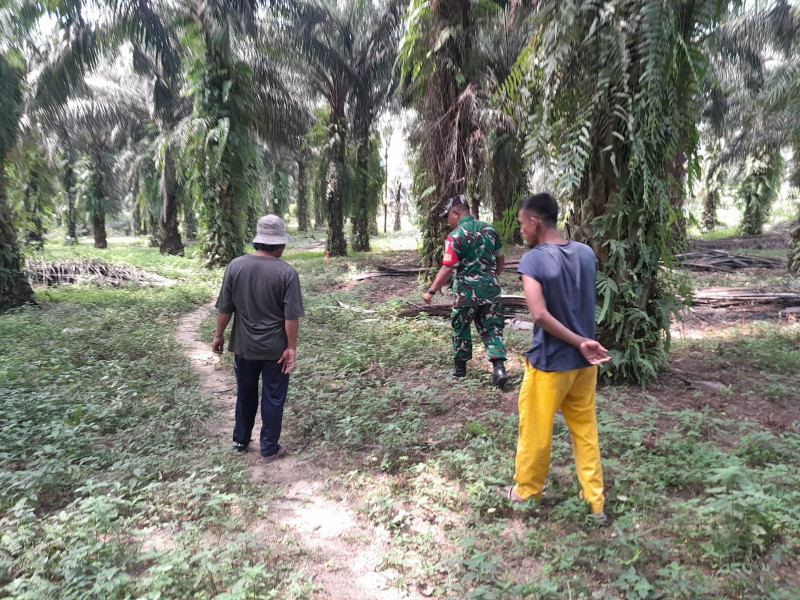 Babinsa Koramil 04/Perawang Gencar Patroli Karhutla, Masyarakat Selalu Dihimbau Tetap Waspada