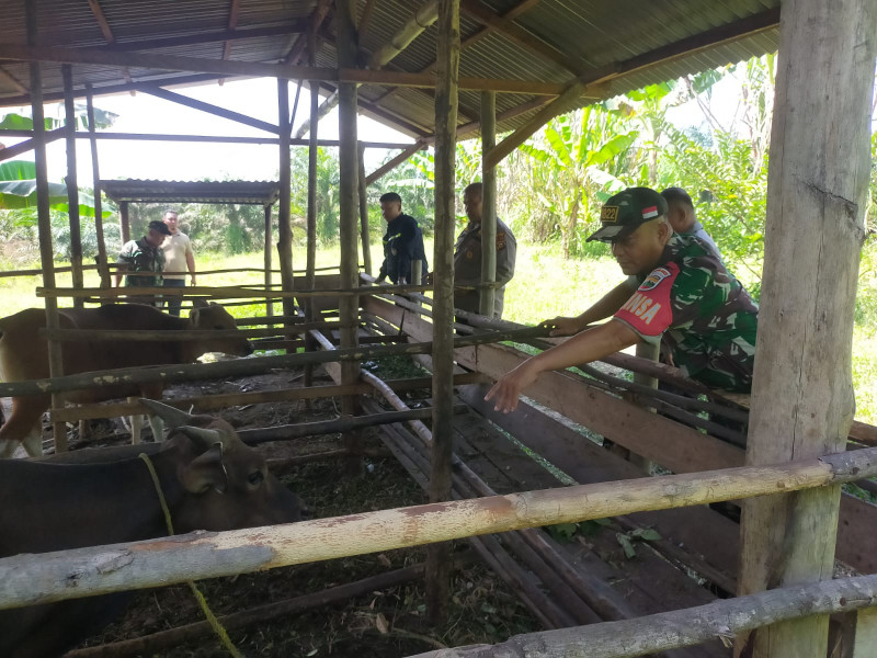 Bainsa Koramil 03/Minas Lakukan Sosialisasi Pendamping Pencegahan Penularan PMK Hewan Ternak di Kampung Olak