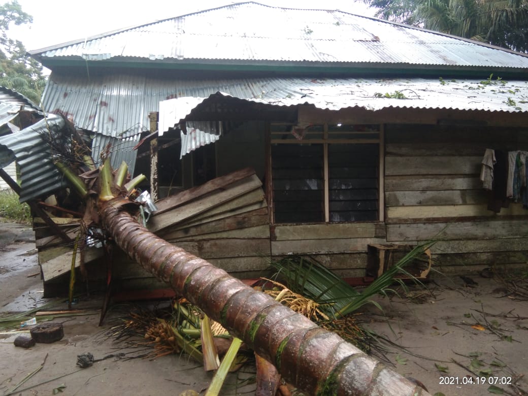 Akibat Angin Kencang Yang Melanda, Sejumlah Rumah di Kuansing Rusak Tertimpa Pohon