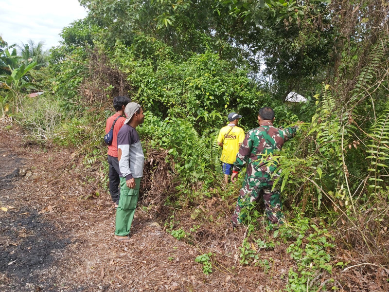 Patroli Karhutla di Koto Gasib, Tidak Ditemukan Titik Api Oleh Babinsa Koramil 04/Perawang