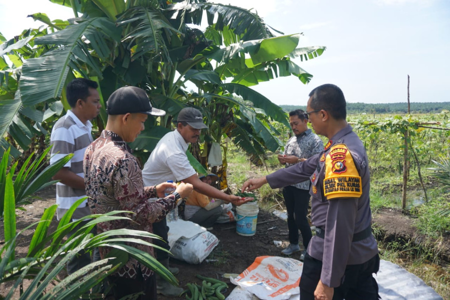 Kapolsek Pangkalan Kuras Ajak Petani Jaga Kedamaian Menjelang Pilkada 2024