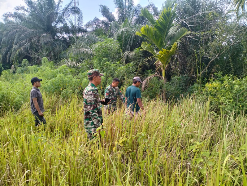 Babinsa Minas Timur Koptu Salomo Sembiring Lakukan Giat Patroli Karhutla Dengan Warga Binaan