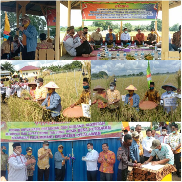 Bupati Pelalawan Kunker Ke Teluk Meranti Syukuran Panen Padi & Tandatangani MOU Perawatan Jalan Bono