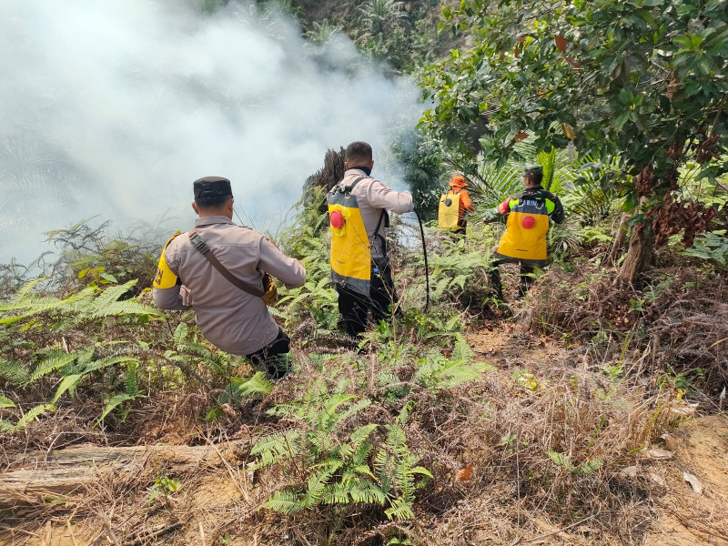 Polres Rohul Berjibaku Padamkan Lahan Terbakar Di Desa Cipang Kiri