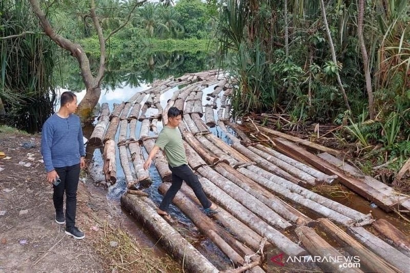 Amankan 2319 Kubik Kayu Ilegal Logging,  Kapolda : Hutan Kita Harus Diselamatkan