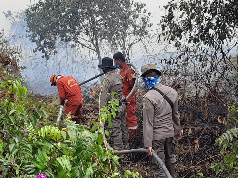 Satgas Karhutla Satpol PP Riau Kirimkan 75 Anggota ke Dumai Bantu Padamkan Karhutla
