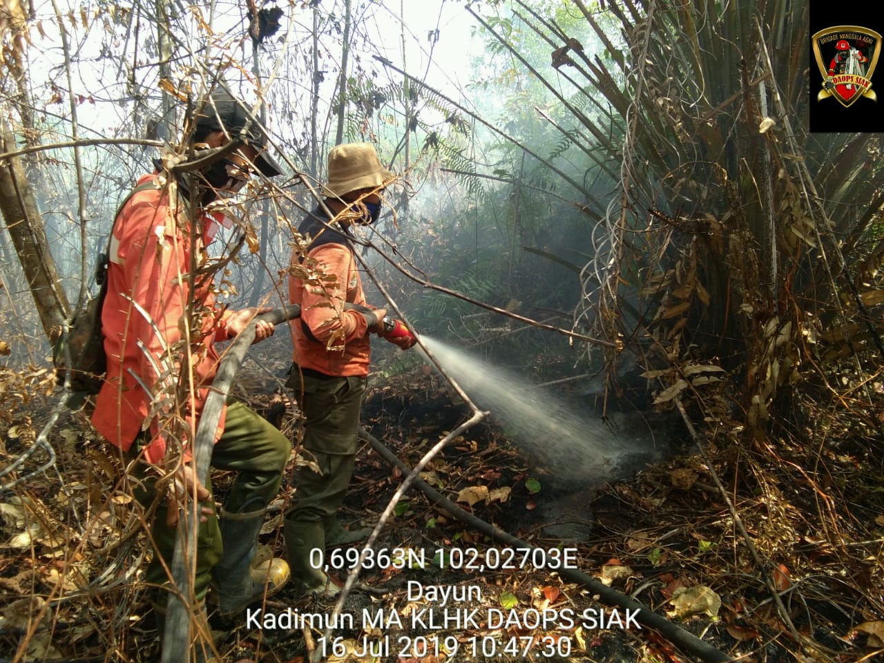 Karhutla Sudah Capai 15 Hektar Di Dayun Siak, Hingga Hari Ini Pemadaman Masih Terus Dilakukan