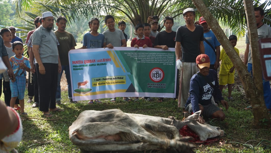 Ponpes Aufia Global Islamic Boarding School Riau Kembali Lakukan Pemotongan Hewan Qurban
