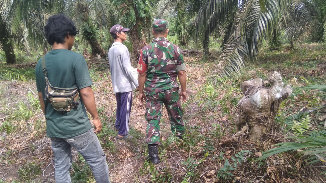 Babinsa Koramil 04/Perawang Gencar Patroli Karhutla, Ajak Masyarakat Tetap Siaga