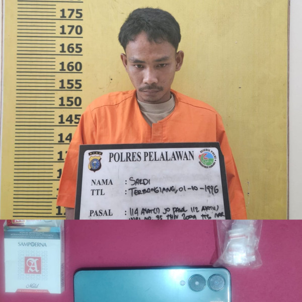Polres Pelalawan Berhasil Tangkap DPO Kasus Narkoba, Sabu Siap Edar Diamankan