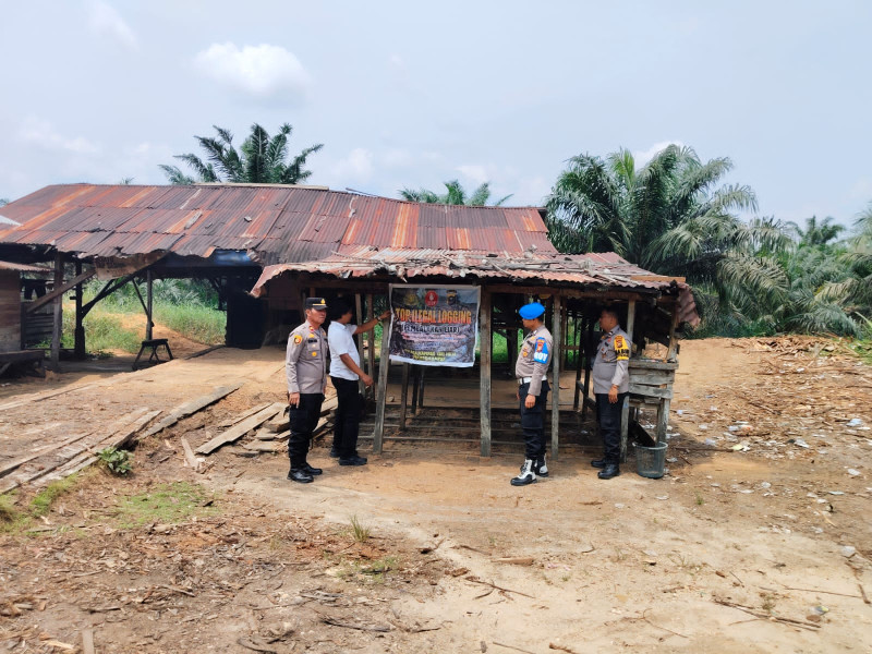 Gerak Cepat, Polsek Kampar Kiri Hilir Langsung Cek Laporan Masyarakat Tentang Maraknya Ilegal Logging
