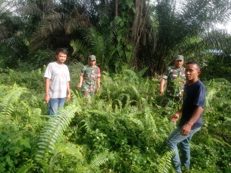 Babinsa Koramil 04/Perawang Ajak Warga Binaan Giat Penanggulangan Kebakaran Hutan Dan Lahan di Perawang Barat