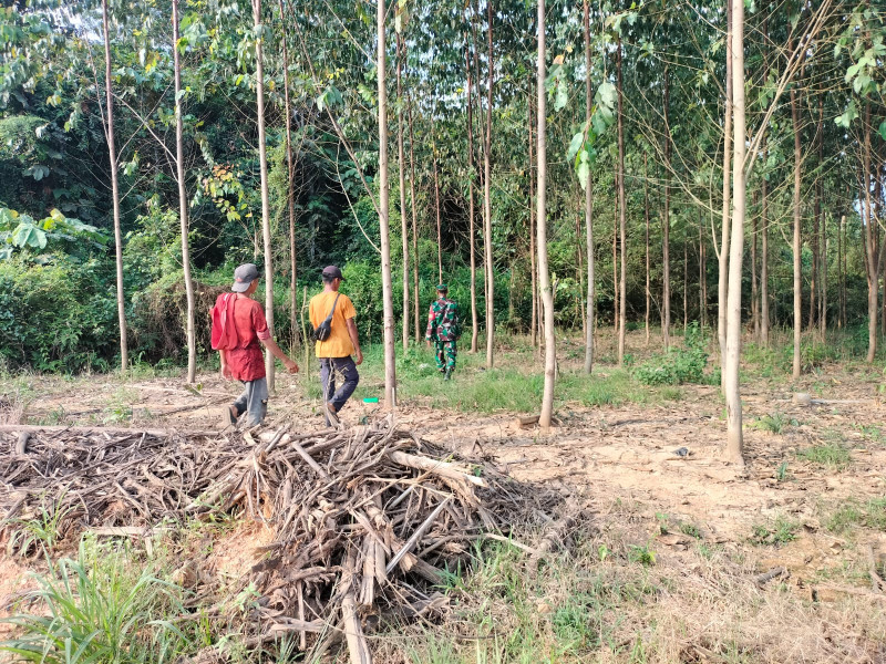 Bersama Dengan Tim di Kampung Tasik Betung, Sertu Joko Purnomo Rutin Patroli Karlahut Dengan Warga Binaannya