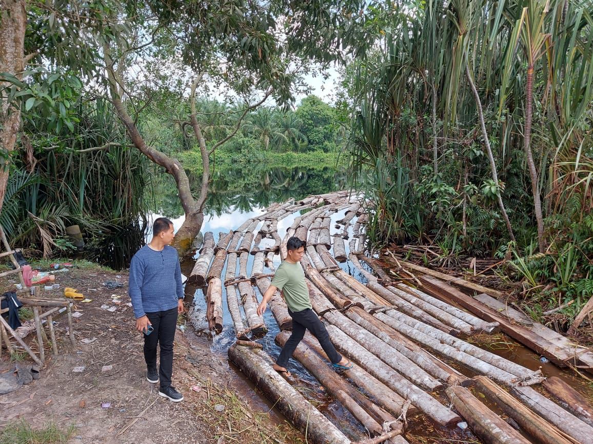 10 Ton Kayu Ilegal Logging di Siak Kecil Diamankan Tim Dari Kompolotan Mafia Kayu