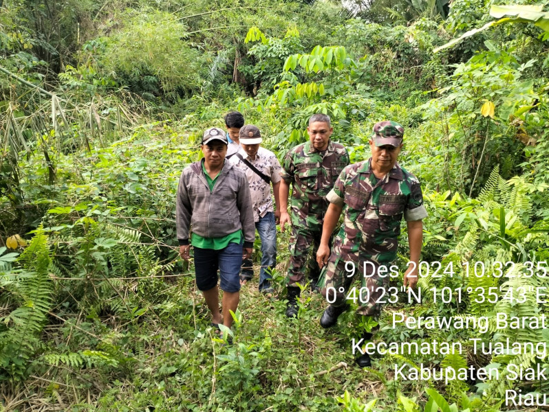Babinsa Peltu Ramli Nst dan Sertu Laila. S Patroli Intensif, Karhutla di Perawang Barat Berhasil Dicegah